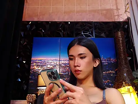 TRANSPORNIDOL webcam