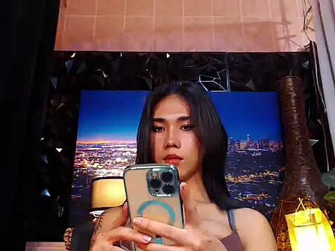 TRANSPORNIDOL webcam