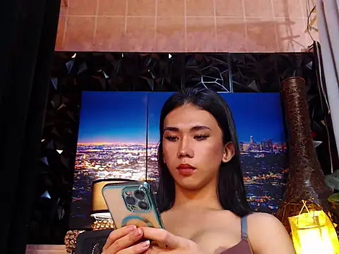 TRANSPORNIDOL webcam