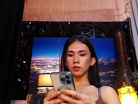 TRANSPORNIDOL webcam