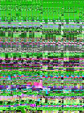 Kiee-lee – webcam model profile photo