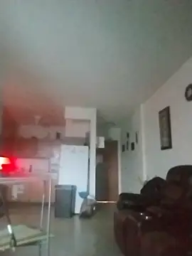 ReallyReallyReal webcam