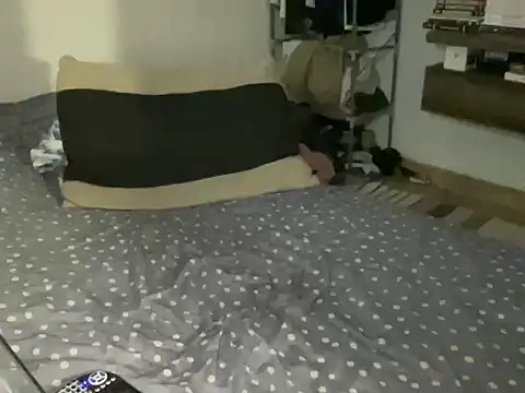 Loirinhodot19 webcam