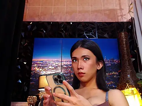 TRANSPORNIDOL webcam