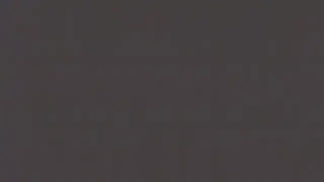 AwesomePapaya webcam