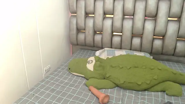 Madison_Copers webcam