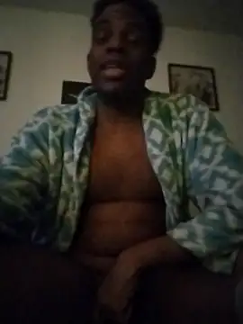 ReallyReallyReal webcam