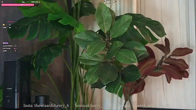 sensualcherry_ webcam