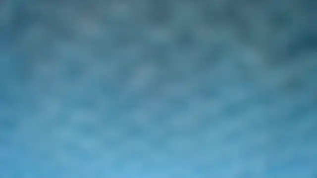 BarbaraTurners webcam