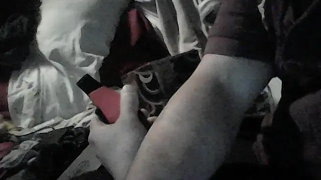 Twoslipperywhenwett webcam