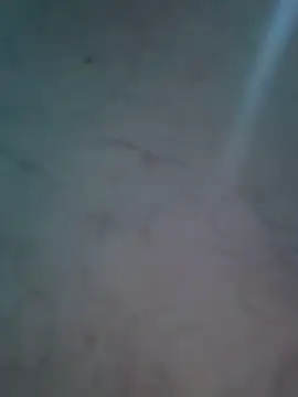 AlexanderBianchi2 webcam