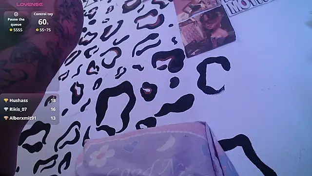 Sheridan_brtz webcam