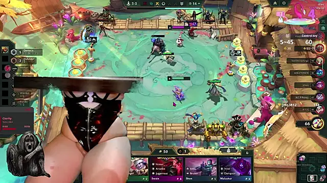 baileymonarch webcam