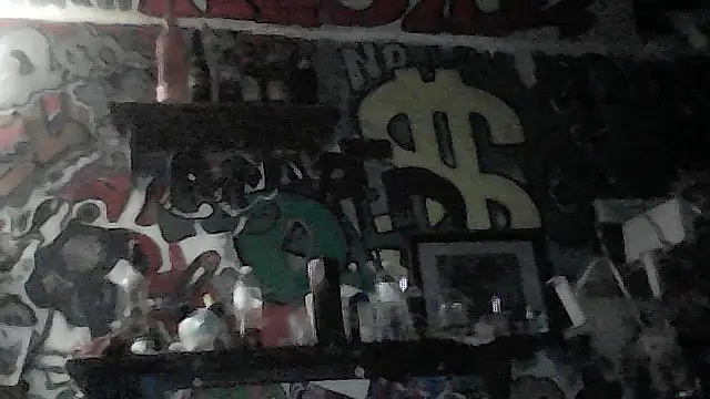 Twoslipperywhenwett webcam