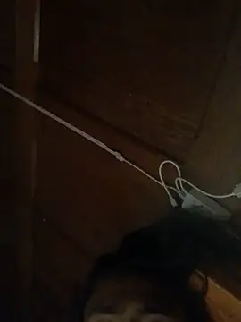 Mesonic_Empire webcam