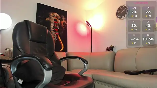 Nicolas_Fellener webcam