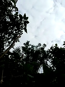 Webcam Model (Bear_bear0)  is live.Free join now!