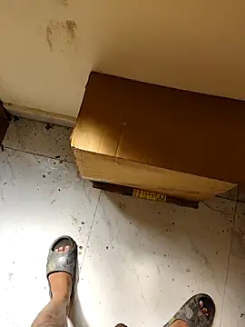 desi_alpha_boy webcam