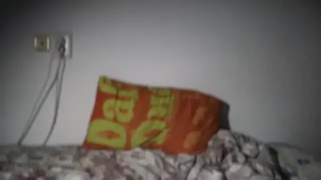 ShizukuHunter webcam