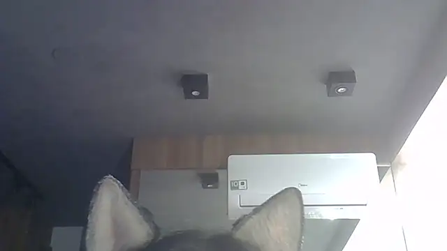 SkinnyKitten webcam