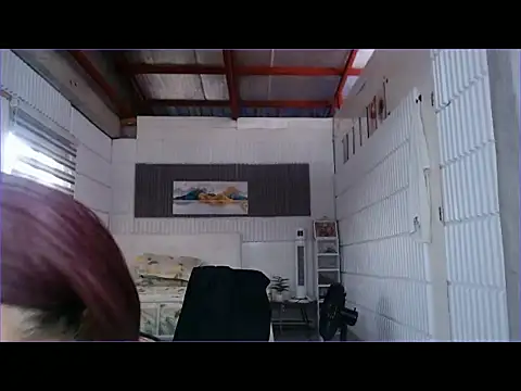 Yours_HealthyMealCumTS webcam