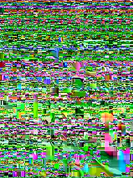 fatfabulous1981 webcam