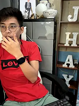 Prince-Harrison webcam