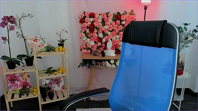 VirtuallVoyant webcam