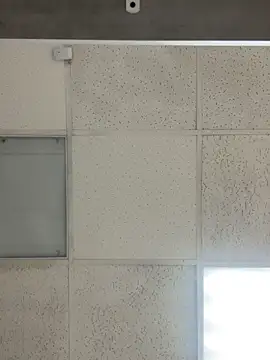 AlishaOfThorns Live Webcam on {site_name}