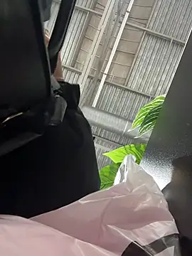 DollyTall's live cam