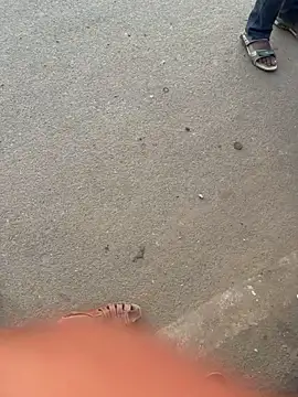 SnapIDRakesh4 webcam