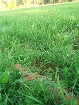 Chetna_thakur webcam