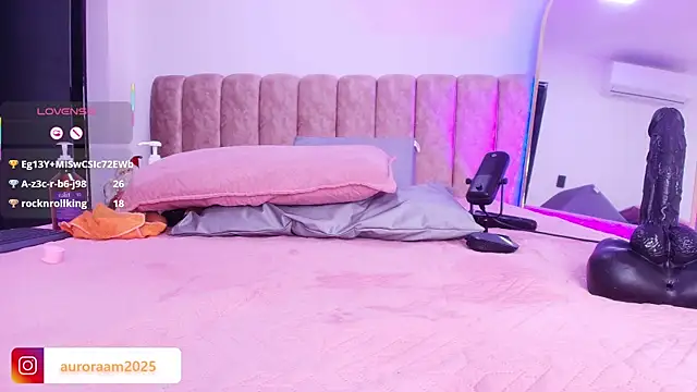 Auroraa_miller webcam