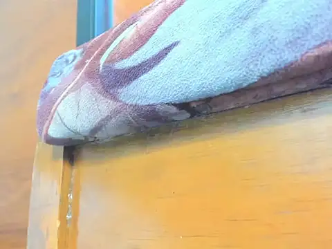 laura_and_samir webcam