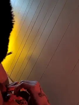 nicedicknicetats webcam