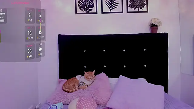 Belinda_Braund webcam