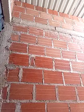 ebony_hard_sex webcam