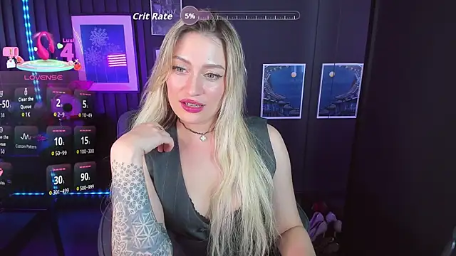 AugustineMagnetic webcam