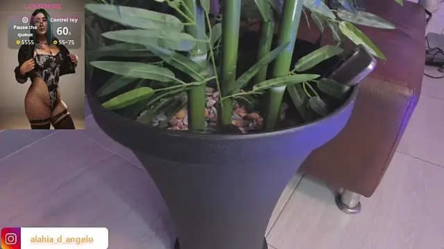 Alahia_Dangelo webcam