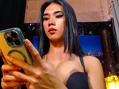 TRANSPORNIDOL webcam