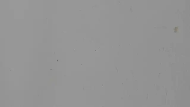 little_emiily_ webcam