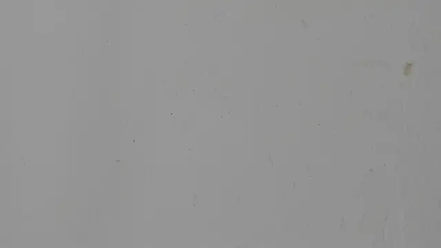 little_emiily_ webcam