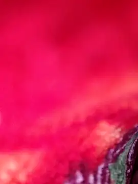 deepa_Sharmaa webcam