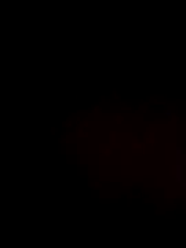 Salome_golvert webcam