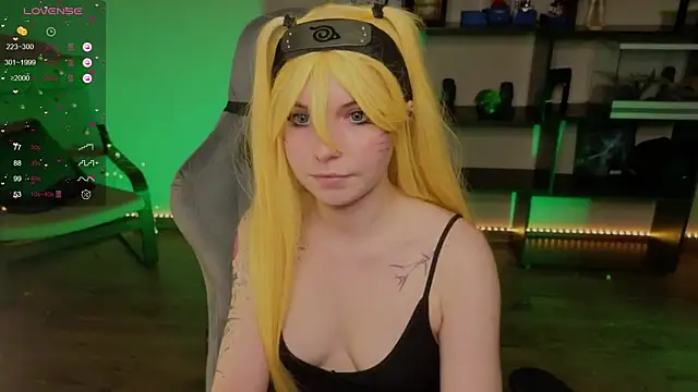 zelda_1 webcam