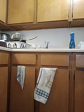 ReallyReallyReal webcam