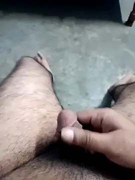 TrainedBend28 webcam