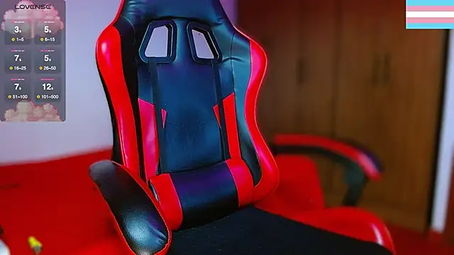 Hgp3riodictabl3 webcam