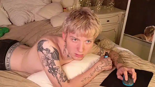 TRAVIS_CLAS webcam
