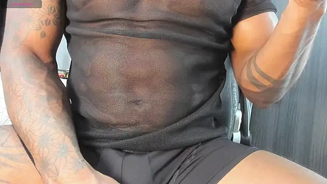 Dancelwashington webcam